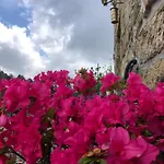 Quinta Uchas * São Pedro do Sul