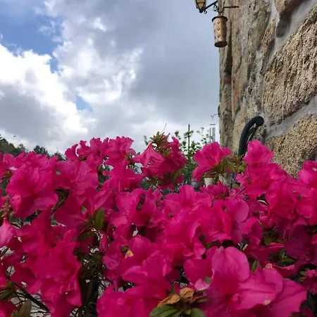 Quinta Uchas * São Pedro do Sul